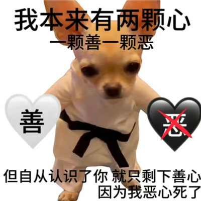 2024全是万能趣味表情 聊天好玩的表情包来咯