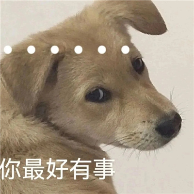 爆笑系列的表情很幽默 钱包说它不行