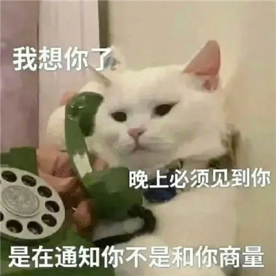 超实用的聊天表情大全 热门系表情2024很搞笑