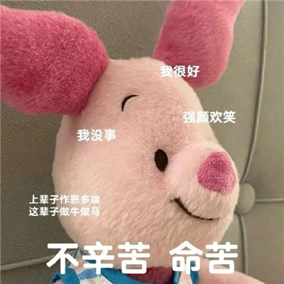 人间小苦瓜表情包 不辛苦命苦