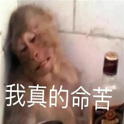 人间小苦瓜表情包 不辛苦命苦