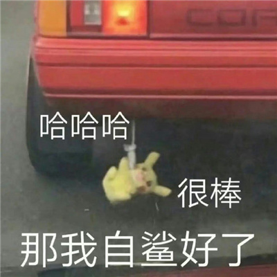 2024让你疯狂心动的表情 趣味满满又很好用的表情