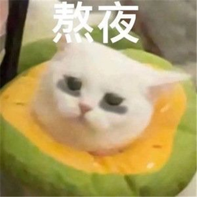 2024让你疯狂心动的表情 趣味满满又很好用的表情