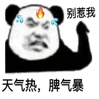 2024让你疯狂心动的表情 趣味满满又很好用的表情