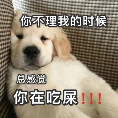 超级有意思的表情包超好笑 你不理我的时候总感觉你在吃屎