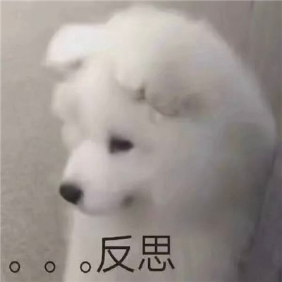 很快乐又很弱智的表情 你涉嫌摸鱼请跟我们走一趟