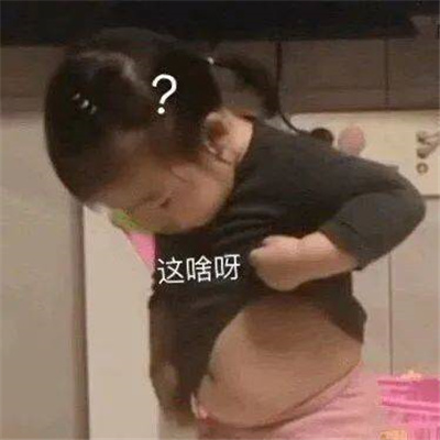 2024超有意思的特色表情 狗狗的心也是肉做的啊