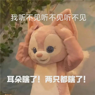 2024超有意思的特色表情 狗狗的心也是肉做的啊