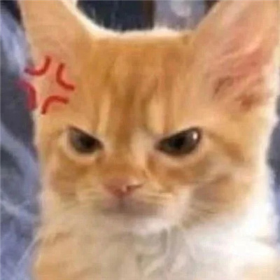 2024有趣的表情搞怪创意十足 你是懂整活的