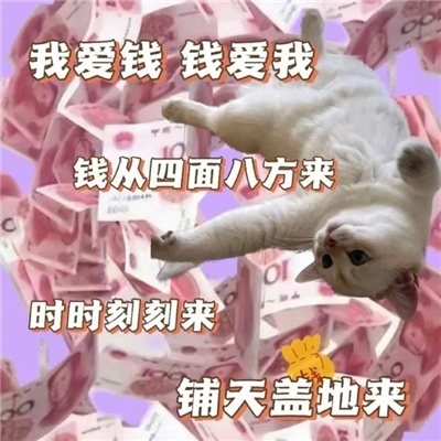 发财猫猫爱财表情包 钱辈拜托了我真的很需要你