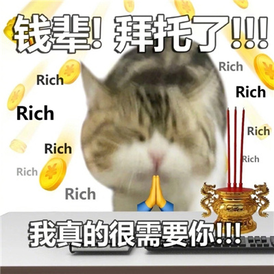 发财猫猫爱财表情包 钱辈拜托了我真的很需要你