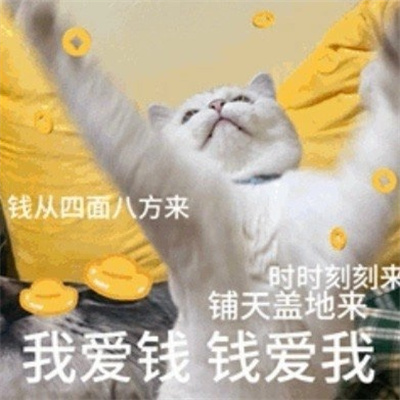 发财猫猫爱财表情包 钱辈拜托了我真的很需要你