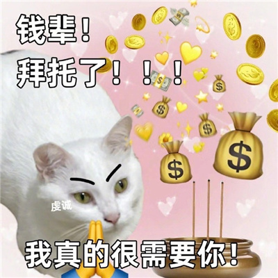 发财猫猫爱财表情包 钱辈拜托了我真的很需要你