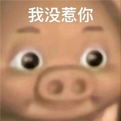 2024表情包网上冲浪必备最新 想创死这个世界