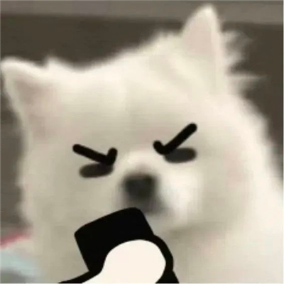 互联网必备的冲浪有点大病的表情 网络上聊天必备的表情