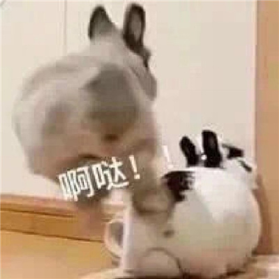 互联网必备的冲浪有点大病的表情 网络上聊天必备的表情