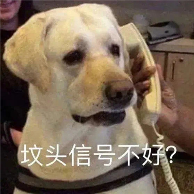 沙雕又很奇葩的表情大全 被人打了一顿习惯说谢谢