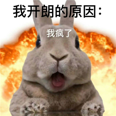 沙雕又很奇葩的表情大全 被人打了一顿习惯说谢谢