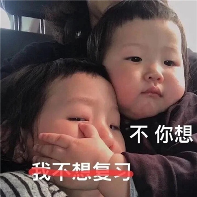 逗人开心的搞笑女表情2024版 逗人开心的搞笑女表情合集