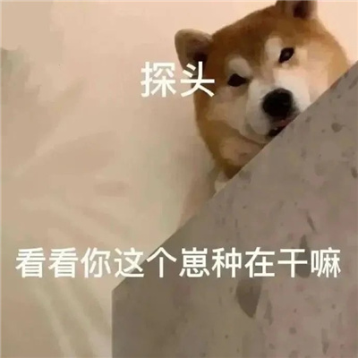 新鲜出炉又很暧昧的表情 很撩对方的暧昧表情大全