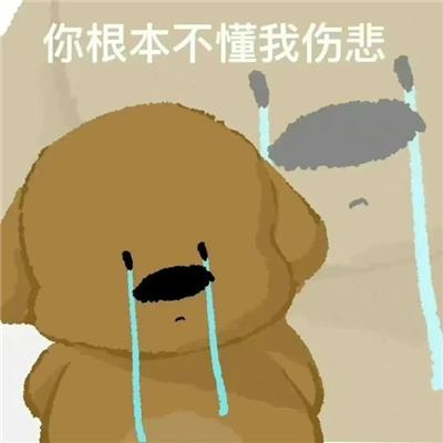 怼人用的表情沙雕很赞 互怼系列的搞怪表情合集