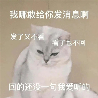 全是有意思的表情包 沙雕感爆棚的趣味表情