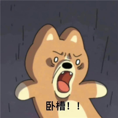 全是有意思的表情包 沙雕感爆棚的趣味表情