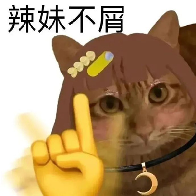 互联网发疯用的表情包 还活着请祖国放心