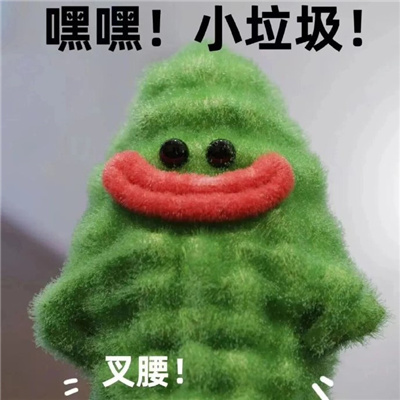 2024超火的苦瓜女士表情包  这辈子的苦已为您准备好