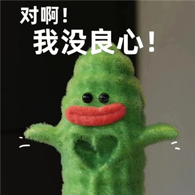 2024超火的苦瓜女士表情包  这辈子的苦已为您准备好