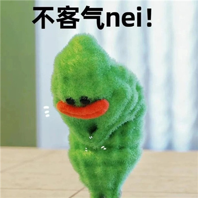 2024超火的苦瓜女士表情包  这辈子的苦已为您准备好