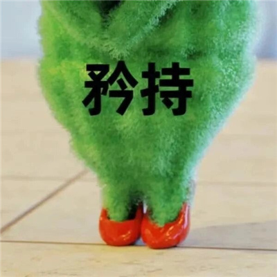 2024超火的苦瓜女士表情包  这辈子的苦已为您准备好