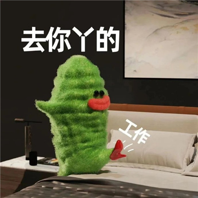 2024超火的苦瓜女士表情包  这辈子的苦已为您准备好