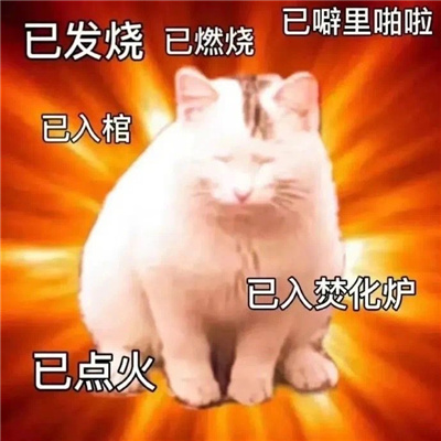 沙雕必备的有病表情包 谢谢你看完乳腺又长俩结节