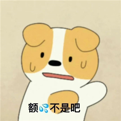 超实用的小狗呜比表情包 全是聊天超好用的表情合集