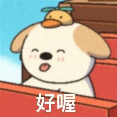 超实用的小狗呜比表情包 全是聊天超好用的表情合集