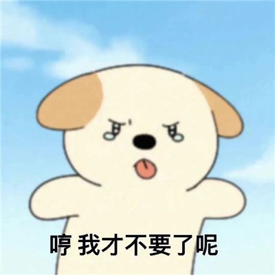 超实用的小狗呜比表情包 全是聊天超好用的表情合集
