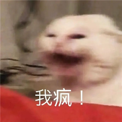 2024最新版的发癫表情 看看能不能吐出象牙