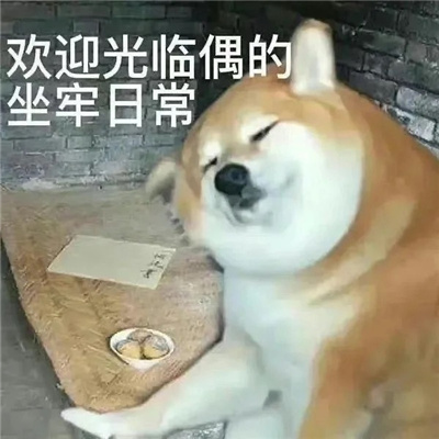 2024很奇怪的有特色的表情大全 骚瑞呀困成李荣浩