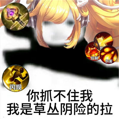 王者荣耀版你抓不住我表情包 王者荣耀笑死人的斗图表情