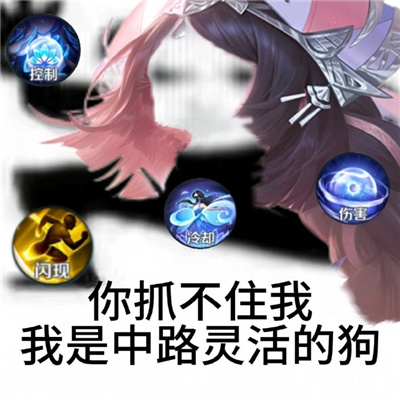 王者荣耀版你抓不住我表情包 王者荣耀笑死人的斗图表情