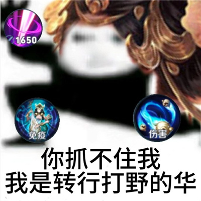 王者荣耀版你抓不住我表情包 王者荣耀笑死人的斗图表情