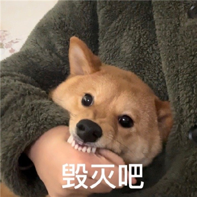 幽默可爱搞笑表情大全 醒来觉得甚是迷茫