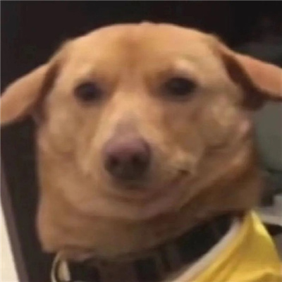 幽默可爱搞笑表情大全 醒来觉得甚是迷茫