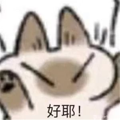 很常用的快乐表情大全 没人能拒绝姐当然你也不行