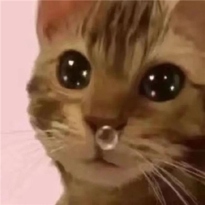 奇奇怪怪还发癫的表情包 怪我当时太年轻是人是狗没看清