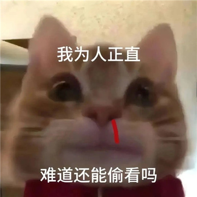 网络上那些很火的表情包 很赞的表情大全