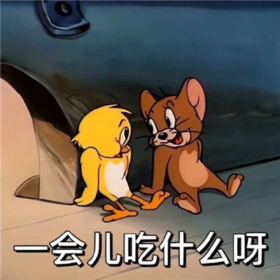 网络上那些很火的表情包 很赞的表情大全