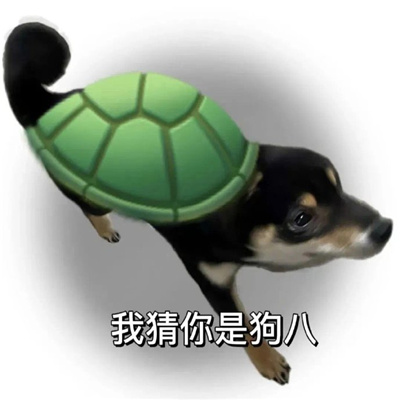 网络上那些很火的表情包 很赞的表情大全