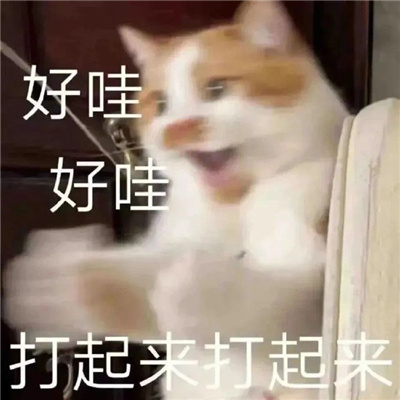 网络上那些很火的表情包 很赞的表情大全